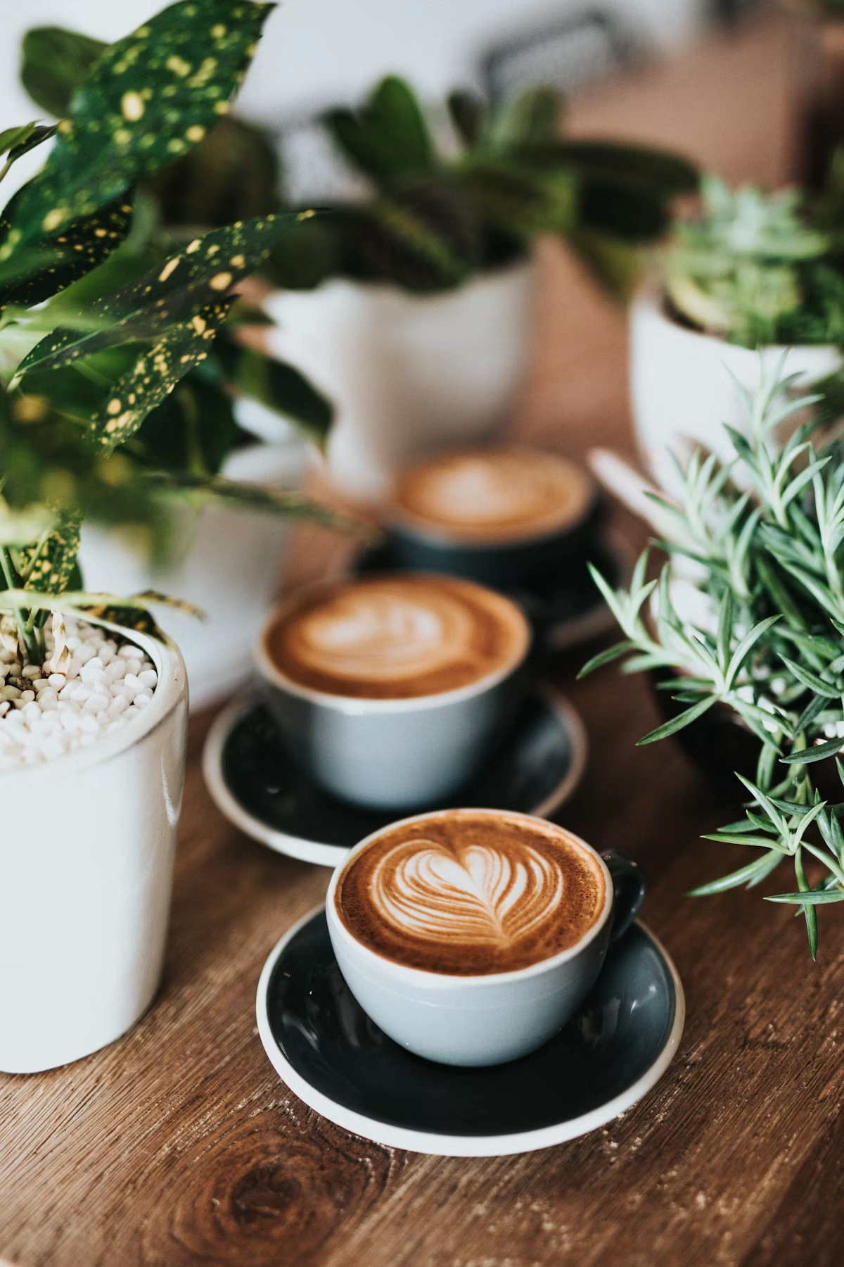 coffee shop fit-out requirements
